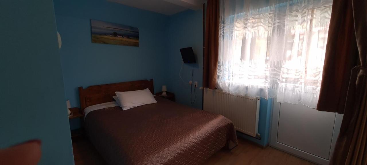 Pensiunea Aurora - Great Hostel Войняса Экстерьер фото
