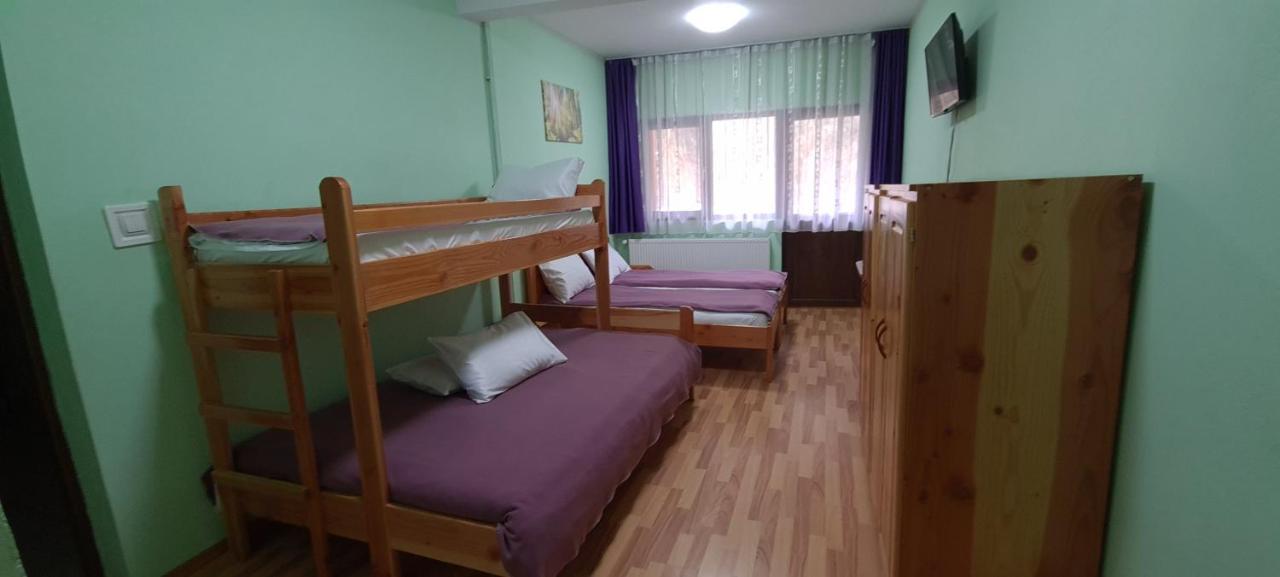 Pensiunea Aurora - Great Hostel Войняса Экстерьер фото