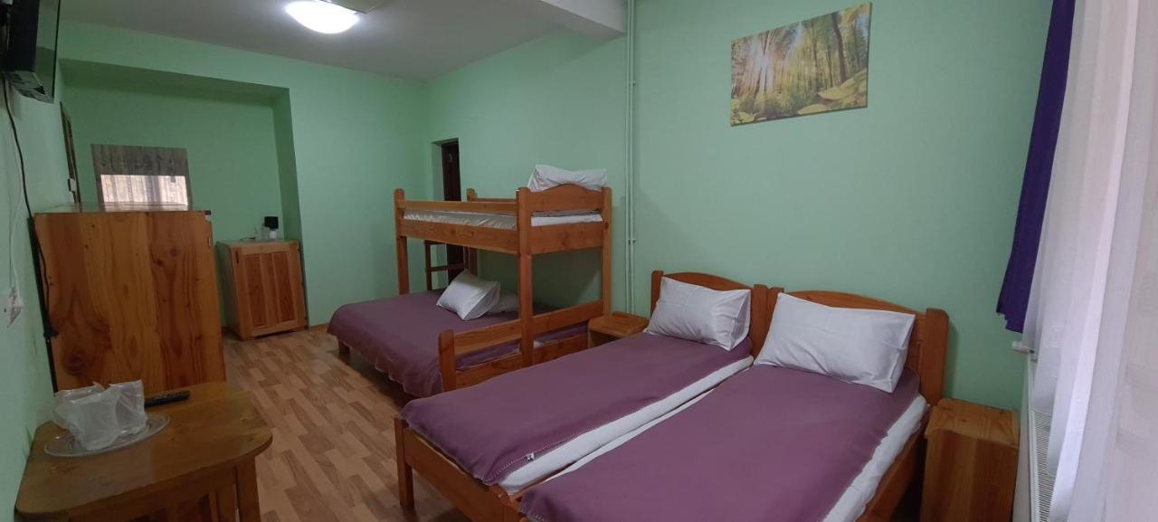 Pensiunea Aurora - Great Hostel Войняса Экстерьер фото