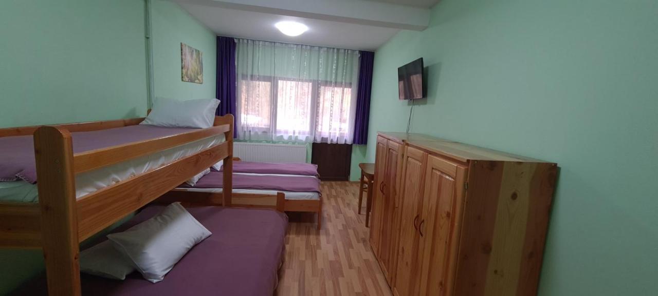 Pensiunea Aurora - Great Hostel Войняса Экстерьер фото
