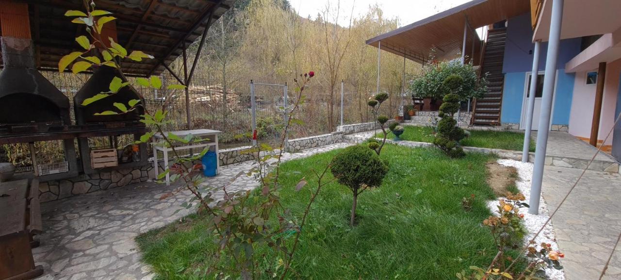 Pensiunea Aurora - Great Hostel Войняса Экстерьер фото