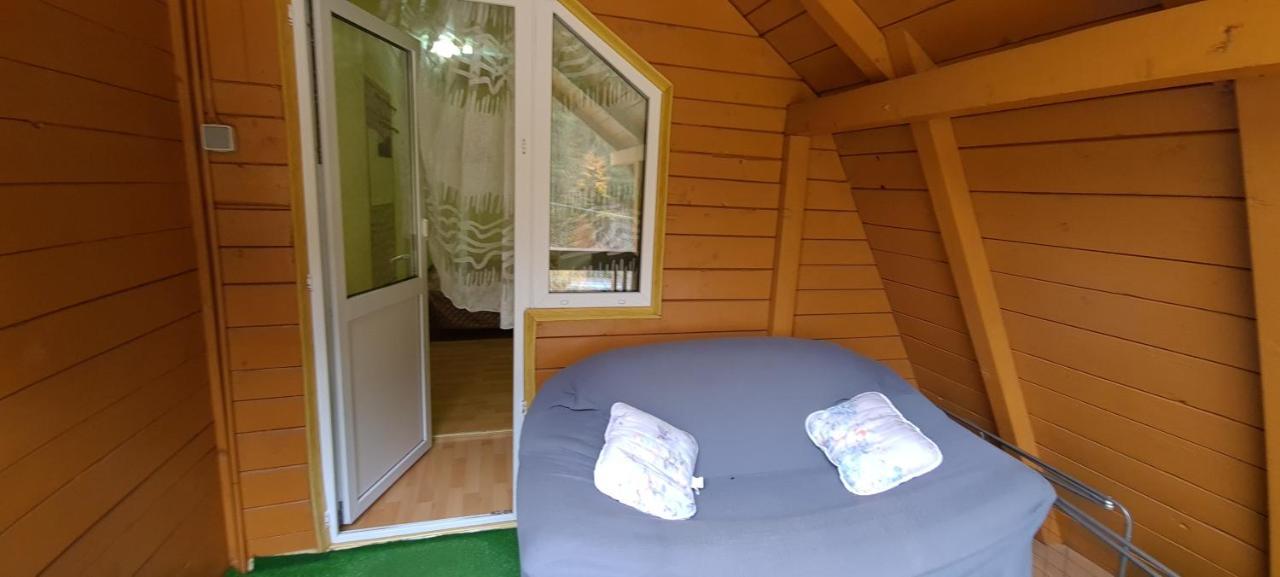 Pensiunea Aurora - Great Hostel Войняса Экстерьер фото