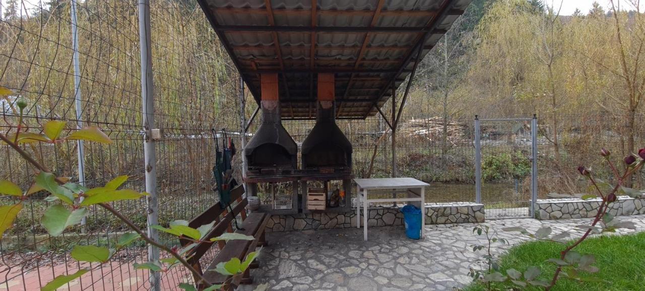 Pensiunea Aurora - Great Hostel Войняса Экстерьер фото