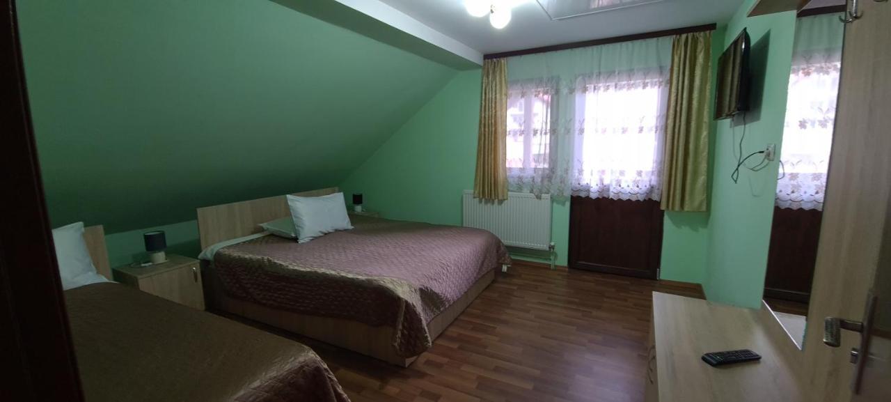 Pensiunea Aurora - Great Hostel Войняса Экстерьер фото