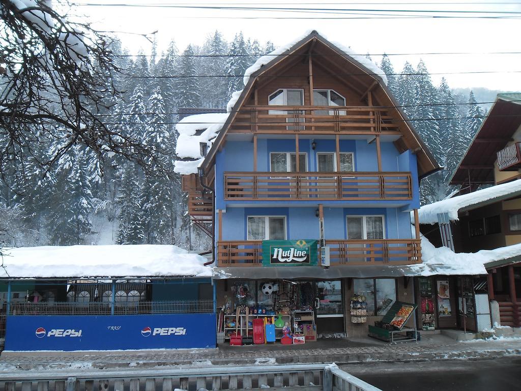 Pensiunea Aurora - Great Hostel Войняса Экстерьер фото