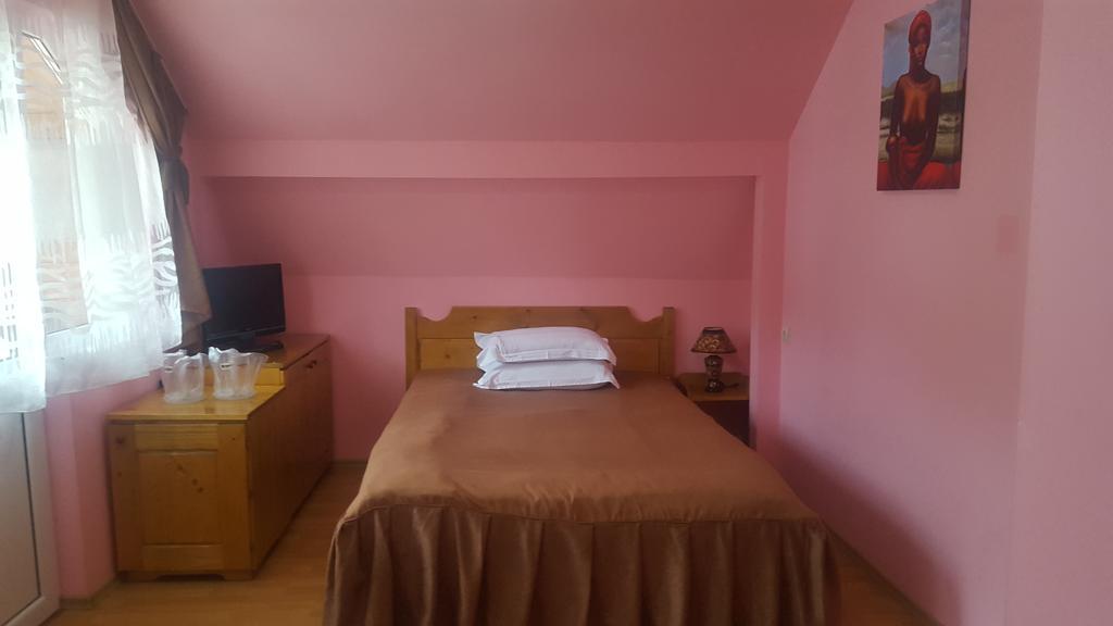 Pensiunea Aurora - Great Hostel Войняса Экстерьер фото