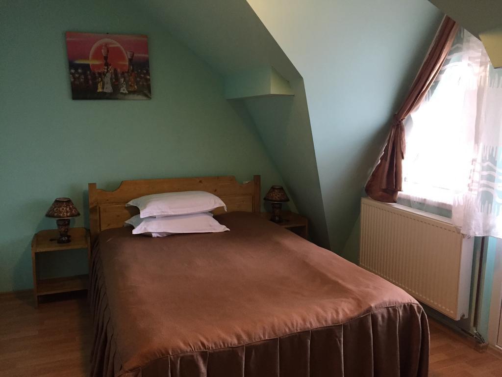 Pensiunea Aurora - Great Hostel Войняса Экстерьер фото